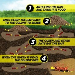 5 lbs. Fire Ant Killer Yard Treatment Bait by AMDRO -Pest Control Sales amdro insect killer granules 100537440 77 1000