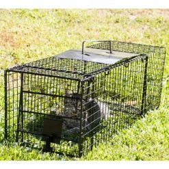 32 in. Folding Live Animal Cage Trap by Unbranded 11 32 in. Folding Live Animal Cage Trap by Unbranded -Pest Control Sales animal traps 914048 1f 1000
