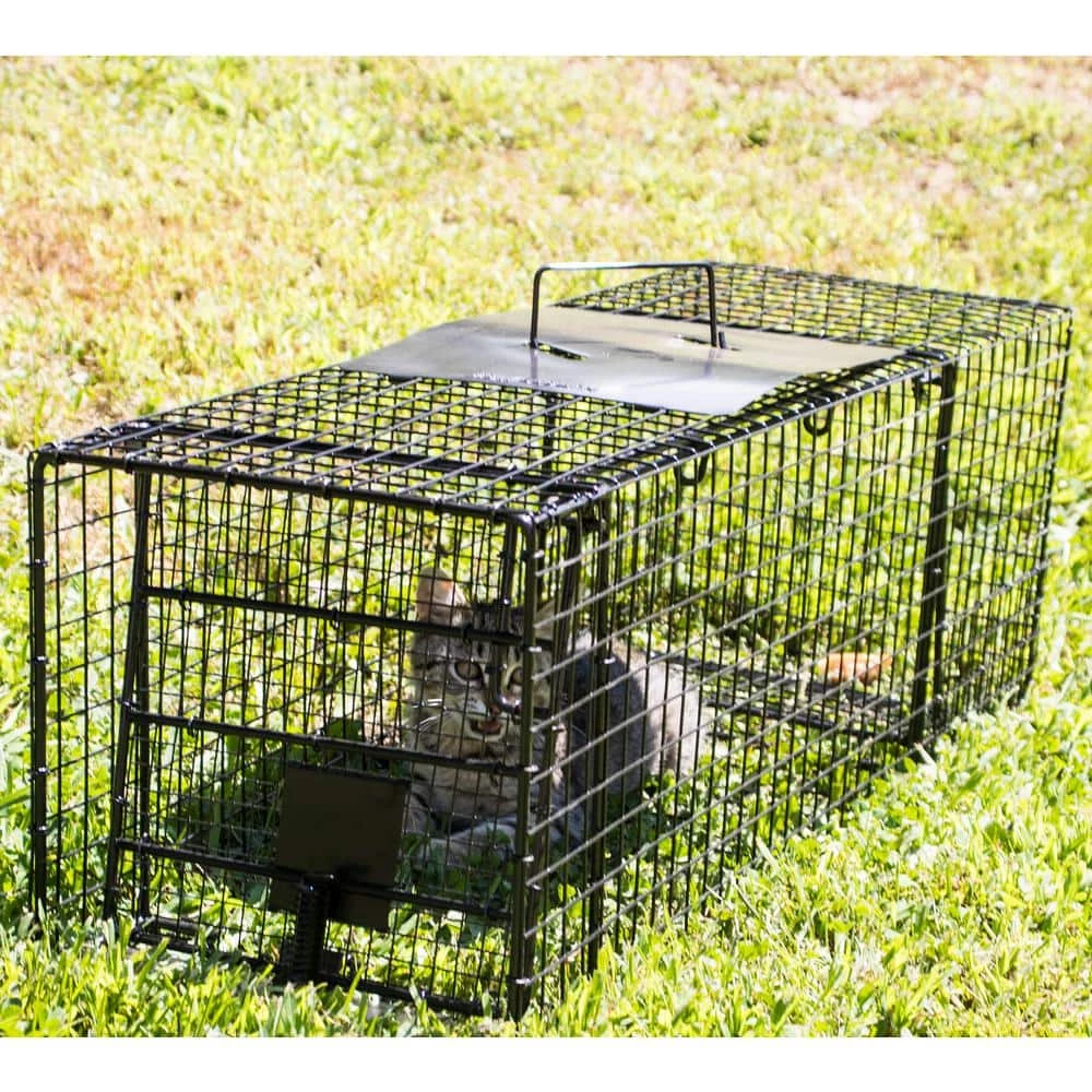 32 in. Folding Live Animal Cage Trap by Unbranded 6 32 in. Folding Live Animal Cage Trap by Unbranded - Image 4