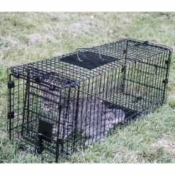 32 in. Folding Live Animal Cage Trap by Unbranded 12 32 in. Folding Live Animal Cage Trap by Unbranded -Pest Control Sales animal traps 914048 44 1000