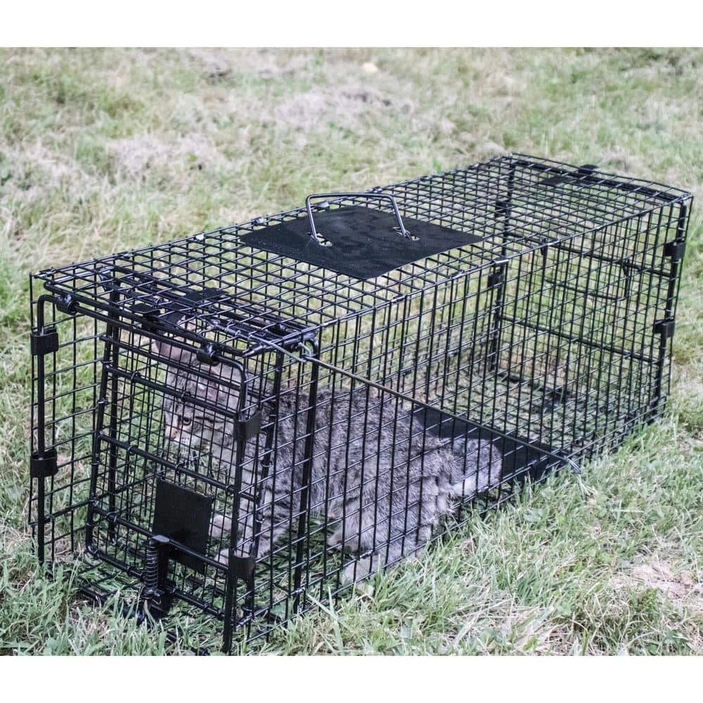 32 in. Folding Live Animal Cage Trap by Unbranded 7 32 in. Folding Live Animal Cage Trap by Unbranded - Image 5