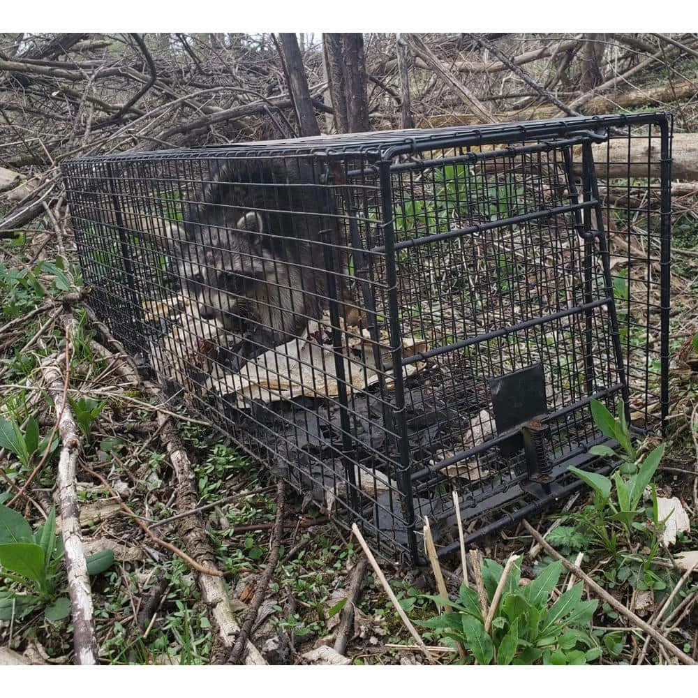 32 in. Folding Live Animal Cage Trap by Unbranded 5 32 in. Folding Live Animal Cage Trap by Unbranded - Image 3