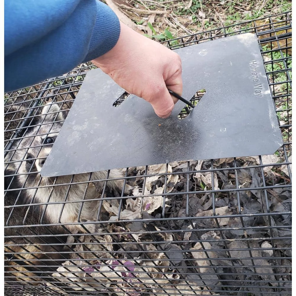 32 in. Folding Live Animal Cage Trap by Unbranded 8 32 in. Folding Live Animal Cage Trap by Unbranded - Image 6