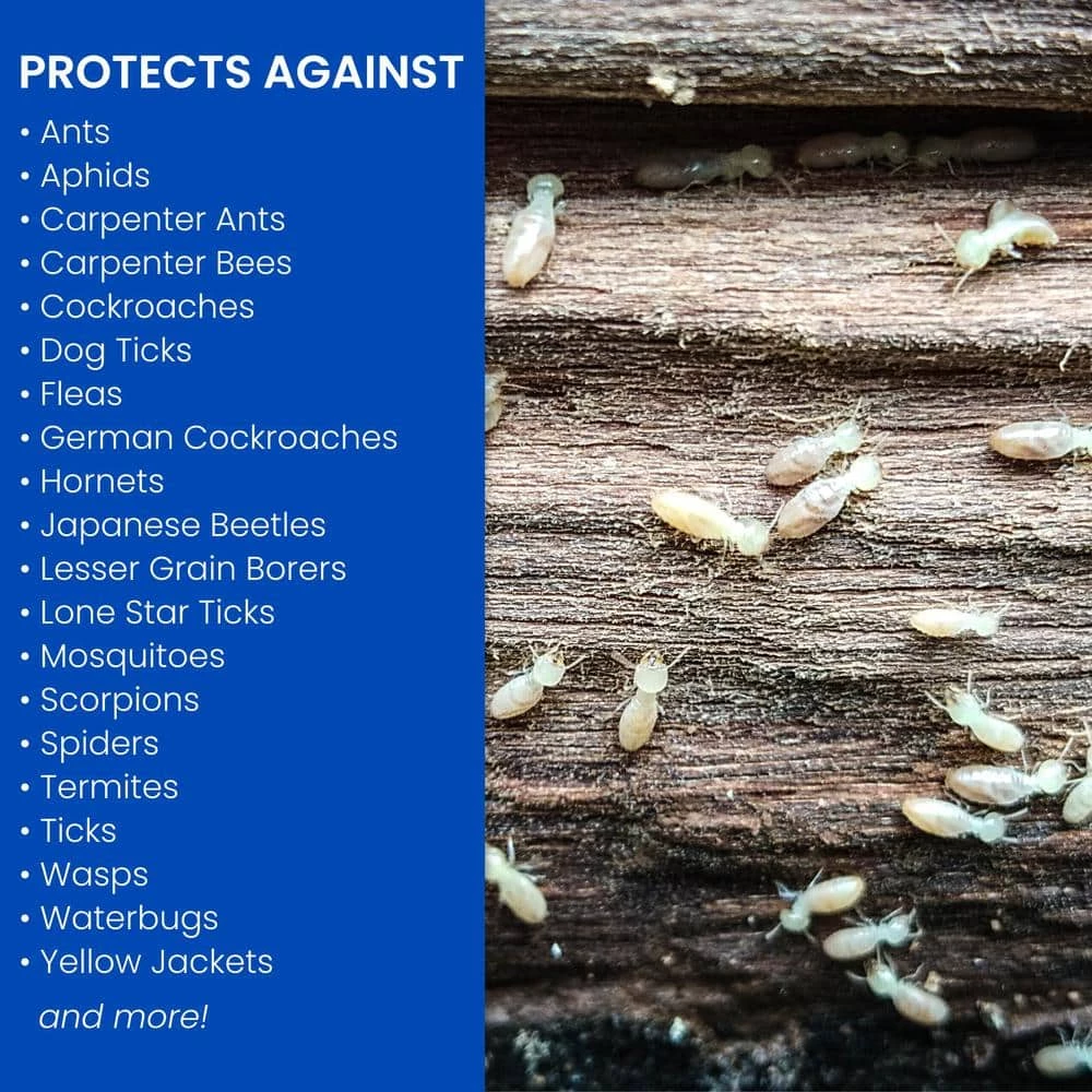 1 Gal. Ready-to-Use Carpenter Ant and Termite Killer Plus by BioAdvanced 4 1 Gal. Ready-to-Use Carpenter Ant and Termite Killer Plus by BioAdvanced - Image 2
