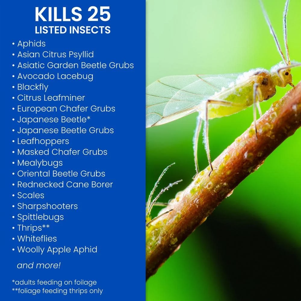 32 oz. Concentrate Fruit, Citrus and Vegetable Insect Control by BioAdvanced 4 32 oz. Concentrate Fruit, Citrus and Vegetable Insect Control by BioAdvanced - Image 2