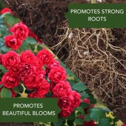 32 oz. Concentrate All-in-1 Rose and Flower Care by BioAdvanced 12 32 oz. Concentrate All-in-1 Rose and Flower Care by BioAdvanced -Pest Control Sales bioadvanced insect killer granules 701260 1f 1000