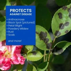 32 oz. Ready-to-Spray 3-in-1 Insect, Disease and Mite Control by BioAdvanced -Pest Control Sales bioadvanced insect killer granules 708287a 4f 1000