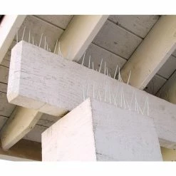 Enviro Spike 10 ft. x 5 in. Plastic Bird Spikes by Bird B Gone -Pest Control Sales bird b gone animal barriers 100521839 1f 1000