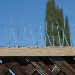 Enviro Spike 10 ft. x 5 in. Plastic Bird Spikes by Bird B Gone -Pest Control Sales bird b gone animal barriers 100521839 4f 1000