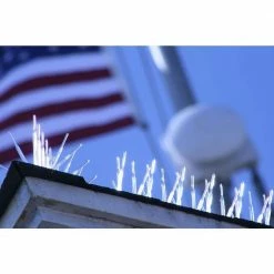 100 ft. x 7 in. Clear Plastic Bird Spikes by Bird B Gone -Pest Control Sales bird b gone animal barriers bbg2000 7 100c 31 1000