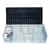 Pigeon Trap with Shade, Food & Water Containers (35 in. x 16 in. x 8 in.) by Bird B Gone -Pest Control Sales bird b gone animal traps bmp sw sp sfw 64 1000