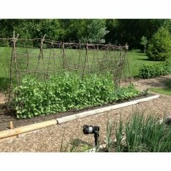 Original Outdoor Laser Repeller Scare Outdoors Bird Deterrent Repellent by Bird-X 8 Original Outdoor Laser Repeller Scare Outdoors Bird Deterrent Repellent by Bird-X -Pest Control Sales bird x animal barriers bx laser out 1f 1000