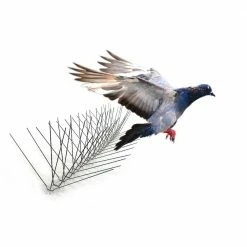 10 ft. Original Extra-Wide Stainless Steel Bird Spikes Bird Control by Bird-X