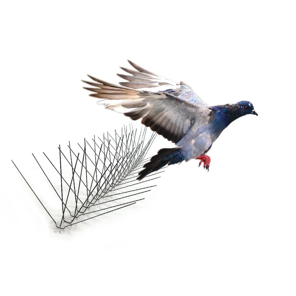 10 ft. Original Extra-Wide Stainless Steel Bird Spikes Bird Control by Bird-X 3 10 ft. Original Extra-Wide Stainless Steel Bird Spikes Bird Control by Bird-X