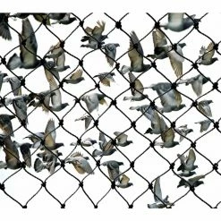 25 ft. x 25 ft. Heavy-Duty Bird Netting by Bird-X 14 25 ft. x 25 ft. Heavy-Duty Bird Netting by Bird-X -Pest Control Sales bird x animal barriers net pe 25 25 76 1000