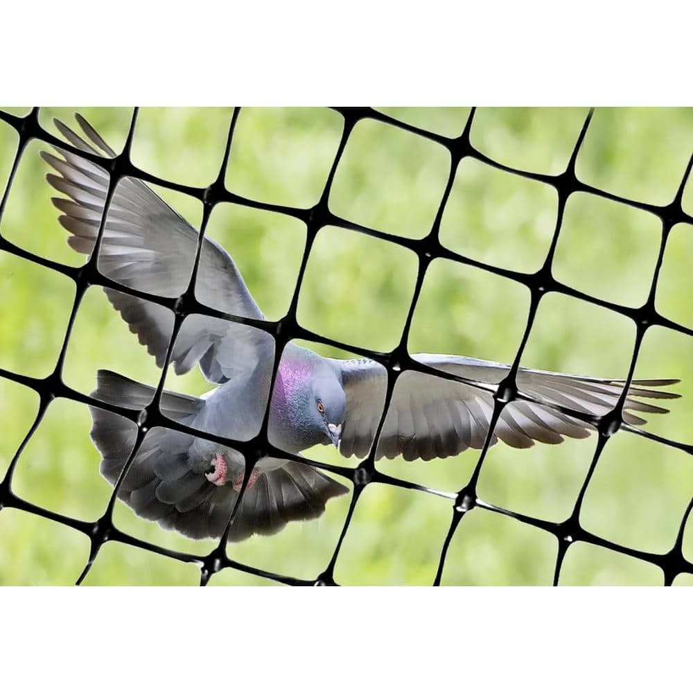 100 ft. x 14 ft. Standard Bird Netting by Bird-X 6 100 ft. x 14 ft. Standard Bird Netting by Bird-X - Image 4