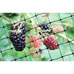 100 ft. x 14 ft. Standard Bird Netting by Bird-X 15 100 ft. x 14 ft. Standard Bird Netting by Bird-X -Pest Control Sales bird x animal barriers net std 100 14 31 1000