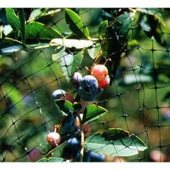 100 ft. x 14 ft. Standard Bird Netting by Bird-X 11 100 ft. x 14 ft. Standard Bird Netting by Bird-X -Pest Control Sales bird x animal barriers net std 100 14 4f 1000