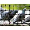100 ft. x 14 ft. Standard Bird Netting by Bird-X 2 100 ft. x 14 ft. Standard Bird Netting by Bird-X -Pest Control Sales bird x animal barriers net std 100 14 64 1000