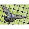 100 ft. x 14 ft. Structural Bird Netting by Bird-X -Pest Control Sales bird x animal barriers net str 100 64 1000