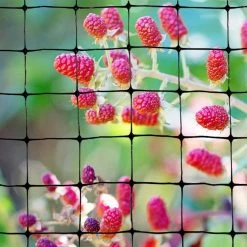 100 ft. x 14 ft. Structural Bird Netting by Bird-X -Pest Control Sales bird x animal barriers net str 100 76 1000