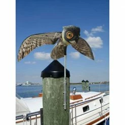 Prowler Owl with Flapping Wings Owl Decoy Scarecrow Bird Repellent Scare Pigeons Birds by Bird-X 9 Prowler Owl with Flapping Wings Owl Decoy Scarecrow Bird Repellent Scare Pigeons Birds by Bird-X -Pest Control Sales bird x animal barriers owl 31 1000