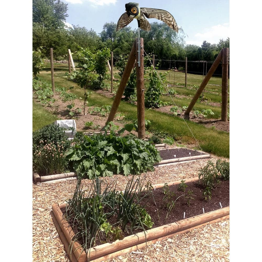 Prowler Owl with Flapping Wings Owl Decoy Scarecrow Bird Repellent Scare Pigeons Birds by Bird-X 4 Prowler Owl with Flapping Wings Owl Decoy Scarecrow Bird Repellent Scare Pigeons Birds by Bird-X - Image 2