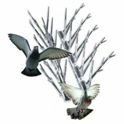 10 ft. Original Plastic Bird Spikes Bird Control Kit by Bird-X -Pest Control Sales bird x animal barriers sp 10 n c3 1000