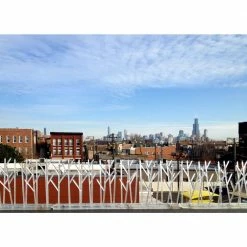 100 ft. Plastic Bird Spikes by Bird-X -Pest Control Sales bird x animal barriers sp 100 4f 1000