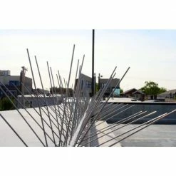 10 ft. Original Stainless Steel Bird Spikes Pigeons Starling Blackbirds Seagulls 6 in. Coverage by Bird-X 10 10 ft. Original Stainless Steel Bird Spikes Pigeons Starling Blackbirds Seagulls 6 in. Coverage by Bird-X -Pest Control Sales bird x animal barriers sts 10 1f 1000