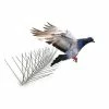 10 ft. Original Stainless Steel Bird Spikes Pigeons Starling Blackbirds Seagulls 6 in. Coverage by Bird-X -Pest Control Sales bird x animal barriers sts 10 64 1000