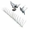 Original Stainless Steel Bird Spikes 100 ft. Pigeons Starlings Blackbirds Seagulls 6 in. Coverage by Bird-X -Pest Control Sales bird x animal barriers sts 100 64 1000