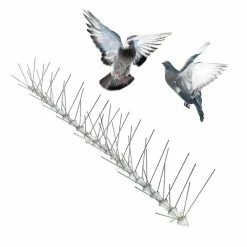 Original Stainless Steel Bird Spikes 100 ft. Pigeons Starlings Blackbirds Seagulls 6 in. Coverage by Bird-X