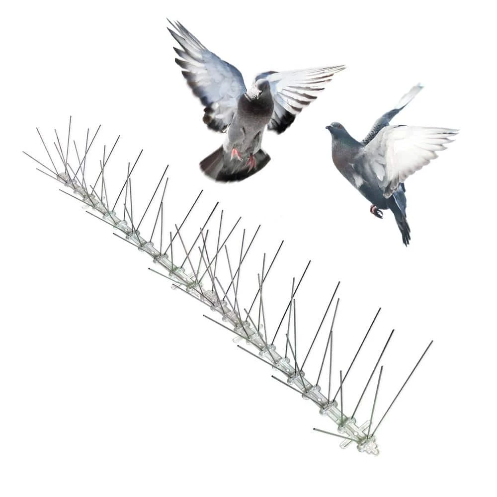 Original Stainless Steel Bird Spikes 100 ft. Pigeons Starlings Blackbirds Seagulls 6 in. Coverage by Bird-X 3 Original Stainless Steel Bird Spikes 100 ft. Pigeons Starlings Blackbirds Seagulls 6 in. Coverage by Bird-X