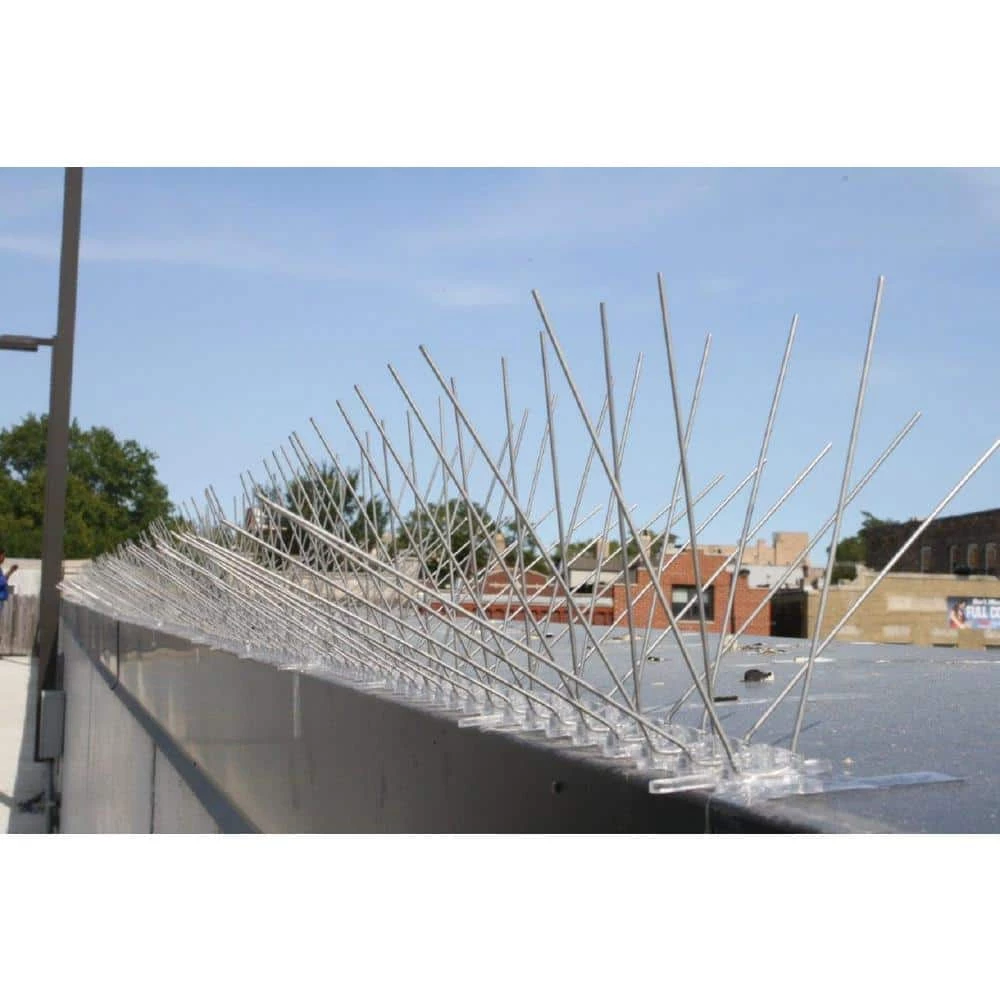 Original Stainless Steel Bird Spikes 100 ft. Pigeons Starlings Blackbirds Seagulls 6 in. Coverage by Bird-X 4 Original Stainless Steel Bird Spikes 100 ft. Pigeons Starlings Blackbirds Seagulls 6 in. Coverage by Bird-X - Image 2