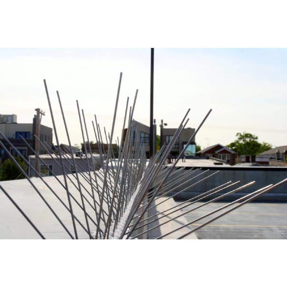 Original Stainless Steel Bird Spikes 100 ft. Pigeons Starlings Blackbirds Seagulls 6 in. Coverage by Bird-X 10 Original Stainless Steel Bird Spikes 100 ft. Pigeons Starlings Blackbirds Seagulls 6 in. Coverage by Bird-X - Image 8