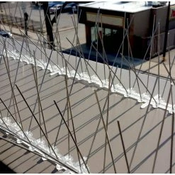 24 ft. Original Commercial Grade Stainless Steel Bird Spikes by Bird-X -Pest Control Sales bird x animal barriers sts 24 4f 1000