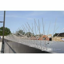 50 ft. Stainless Steel Bird Spikes Pigeons Starling Blackbirds Seagulls 6 in. Coverage by Bird-X -Pest Control Sales bird x animal barriers sts 50 1f 1000