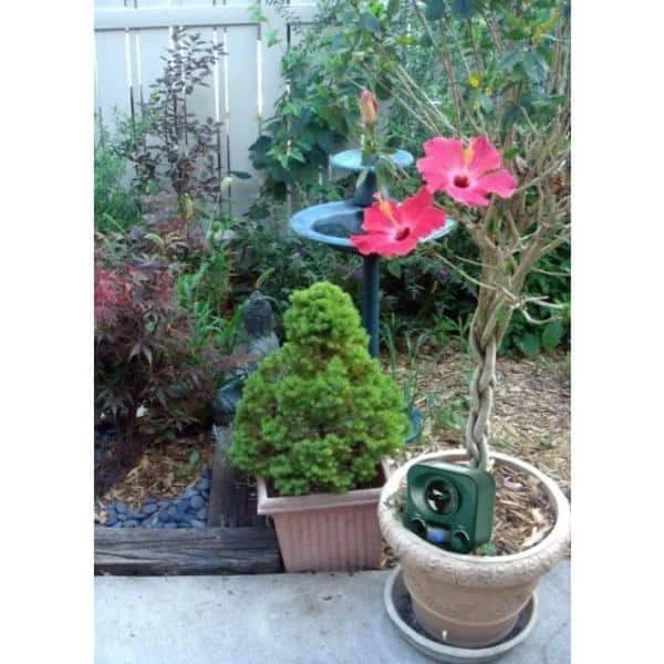 #1 Best Seller Solar Yard Gard Ultrasonic Animal Repeller Animal Control by Bird-X 7 #1 Best Seller Solar Yard Gard Ultrasonic Animal Repeller Animal Control by Bird-X - Image 5