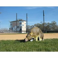 Wind Movement 3-D Coyote Replica by Bird-X -Pest Control Sales bird x animal traps coyote 3d 31 1000
