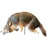 Wind Movement 3-D Coyote Replica by Bird-X 2 Wind Movement 3-D Coyote Replica by Bird-X -Pest Control Sales bird x animal traps coyote 3d 64 1000