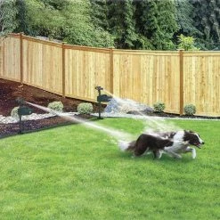 Hydro Critter Blaster Animal Sprinkler Repeller Scarecrow Motion Activated Solar Powered by Bird-X