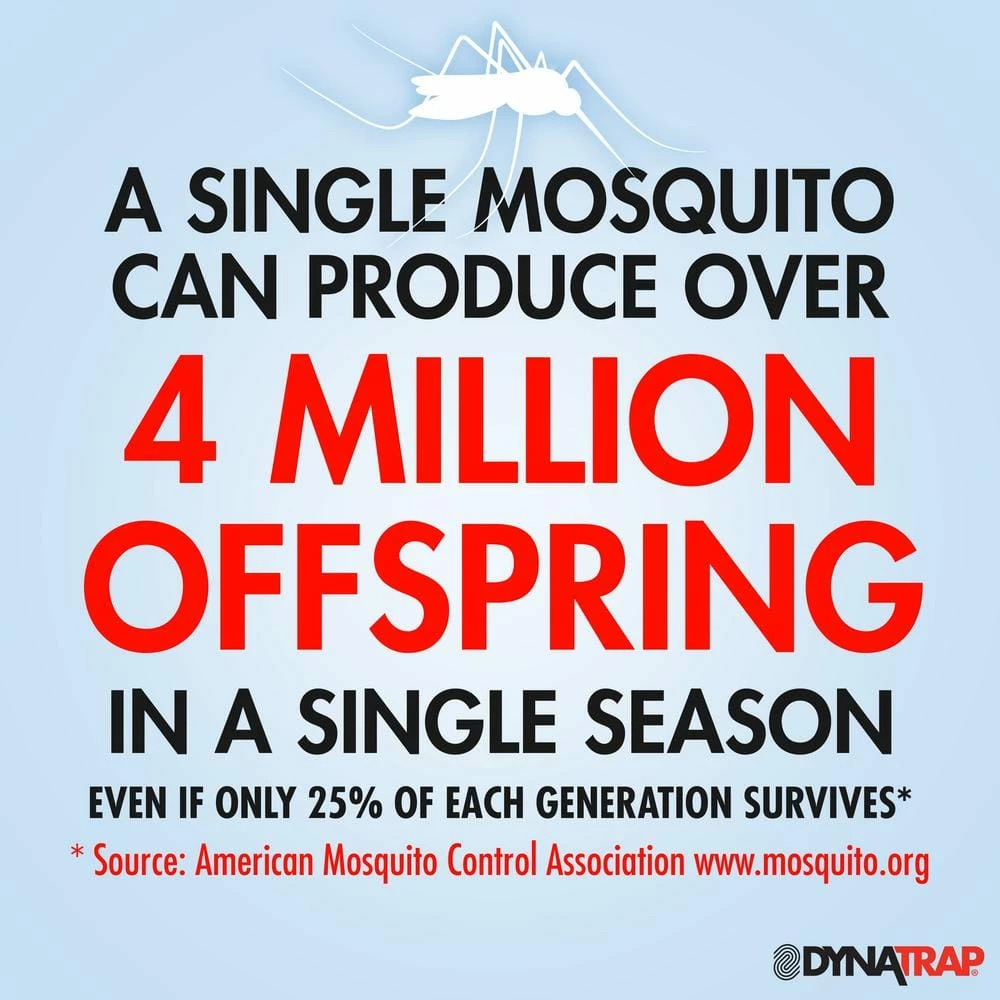 UV 1/2-Acre Insect and Mosquito Trap with Optional Wall Mount by Dynatrap 7 UV 1/2-Acre Insect and Mosquito Trap with Optional Wall Mount by Dynatrap - Image 5