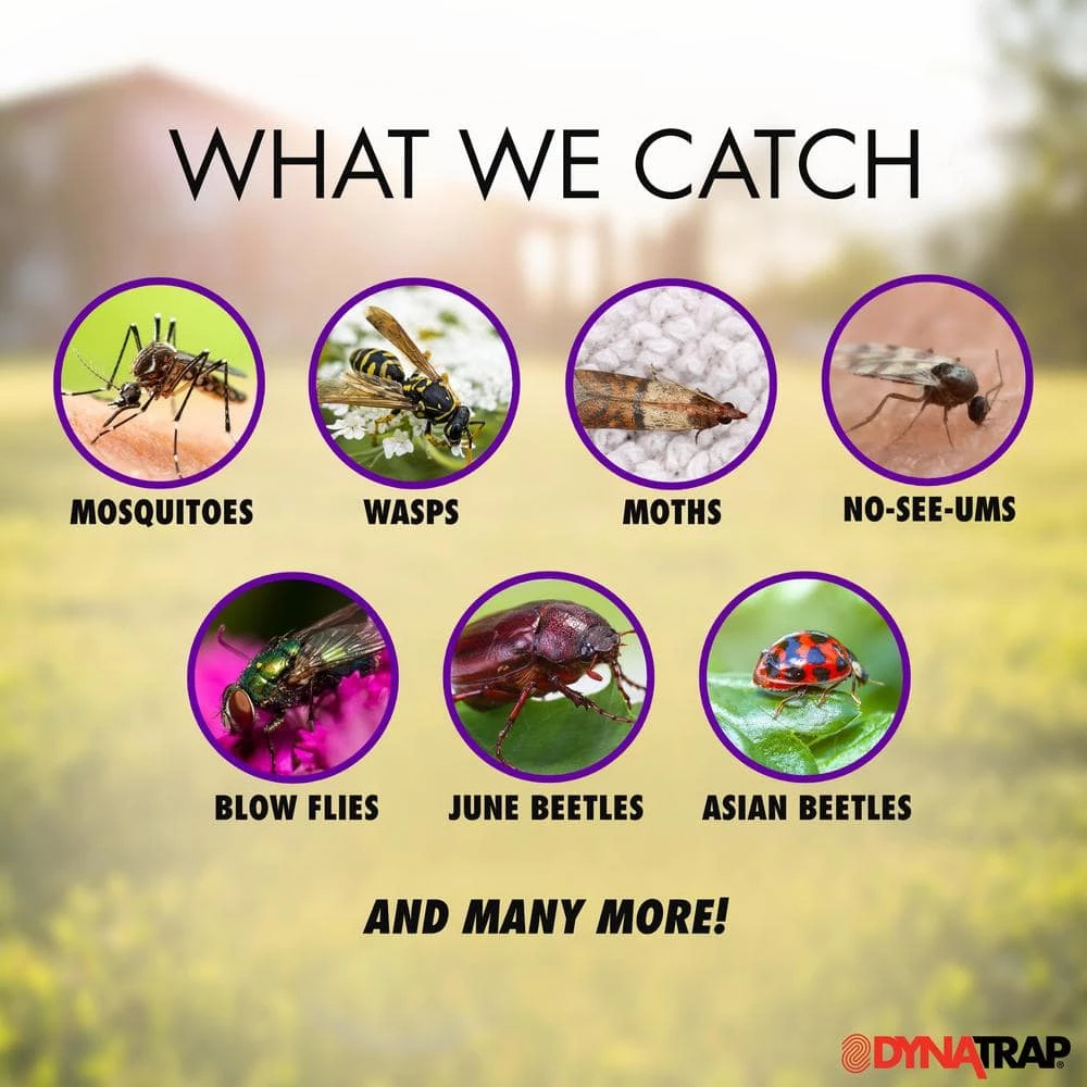 UV 1/2-Acre Insect and Mosquito Trap with Optional Wall Mount by Dynatrap 5 UV 1/2-Acre Insect and Mosquito Trap with Optional Wall Mount by Dynatrap - Image 3