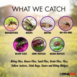 Decora UV 1-Acre Black Insect and Mosquito Trap by Dynatrap -Pest Control Sales black dynatrap insect traps dt2000xlp 31 1000