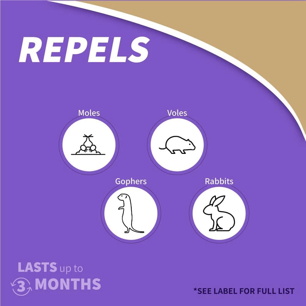 10 lbs. MoleMax Mole and Vole Repellent Granules by Bonide 5 10 lbs. MoleMax Mole and Vole Repellent Granules by Bonide - Image 3