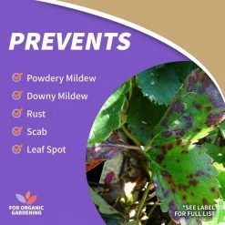 32 oz. Neem Oil Fungicide, Miticide and Insecticide Ready-To-Use by Bonide 12 32 oz. Neem Oil Fungicide, Miticide and Insecticide Ready-To-Use by Bonide -Pest Control Sales bonide bug killer spray 0226 1f 1000