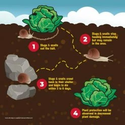 1.75 lbs. Slug and Snail Killer by Corry's 17 1.75 lbs. Slug and Snail Killer by Corry's -Pest Control Sales corry s insect killer granules 100511427 1d 1000