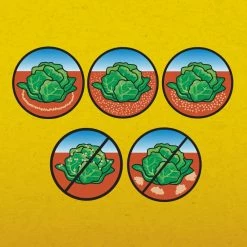 1.75 lbs. Slug and Snail Killer by Corry's 15 1.75 lbs. Slug and Snail Killer by Corry's -Pest Control Sales corry s insect killer granules 100511427 40 1000