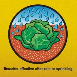 1.75 lbs. Slug and Snail Killer by Corry's 16 1.75 lbs. Slug and Snail Killer by Corry's -Pest Control Sales corry s insect killer granules 100511427 a0 1000